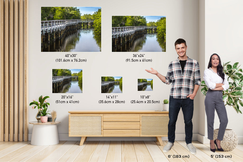 Whispers of the Mangrove: Boardwalk Bridge Robinson Preserve Wall Art Mangrove Forest Nature Photography