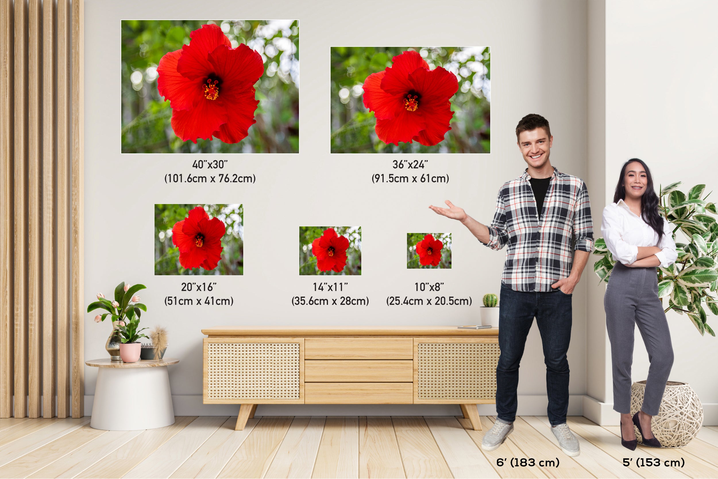 Ruby Blooms: Red Hawaiian Hibiscus Flower Photography Tropical Home Decor Wall Art Print