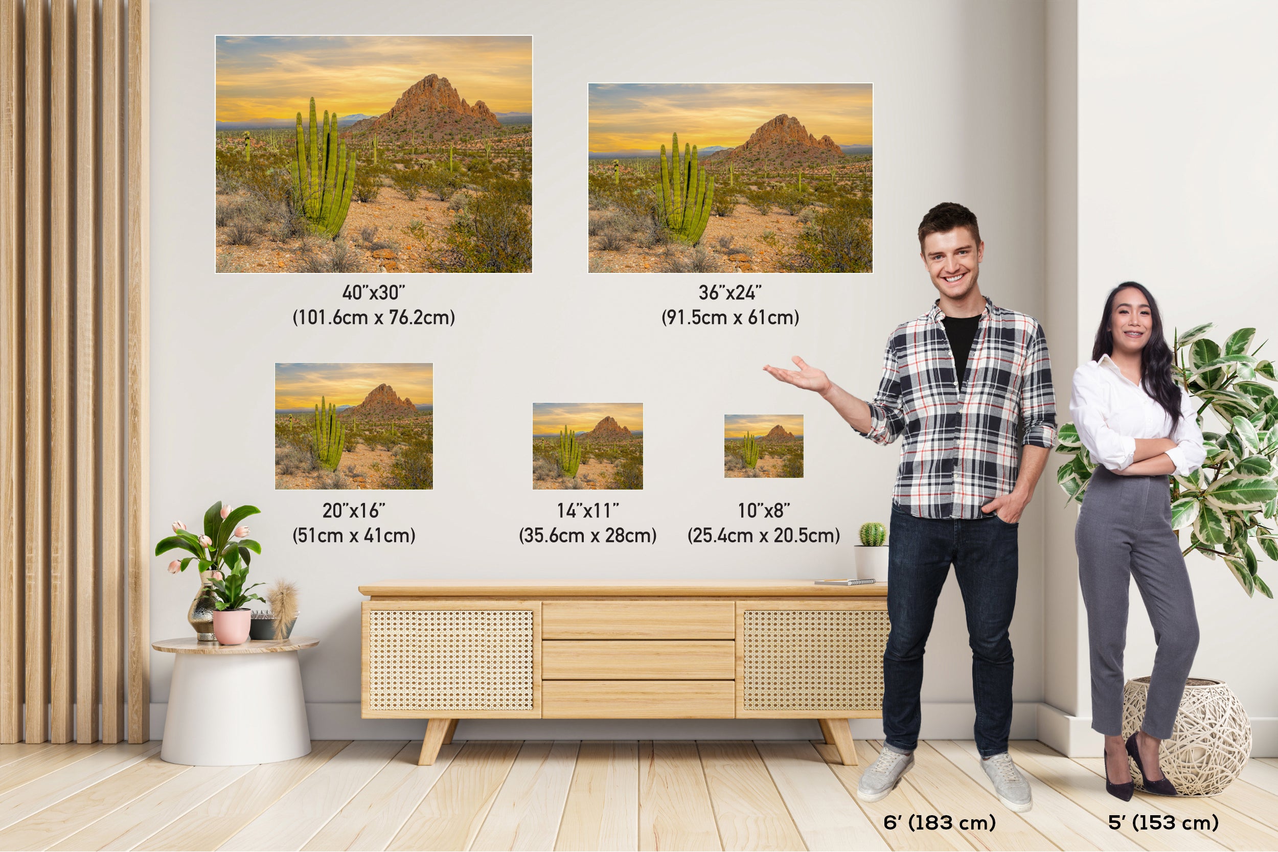 Spires of Resilience: Organ Pipe Cactus National Monument Arizona Photography Wall Art