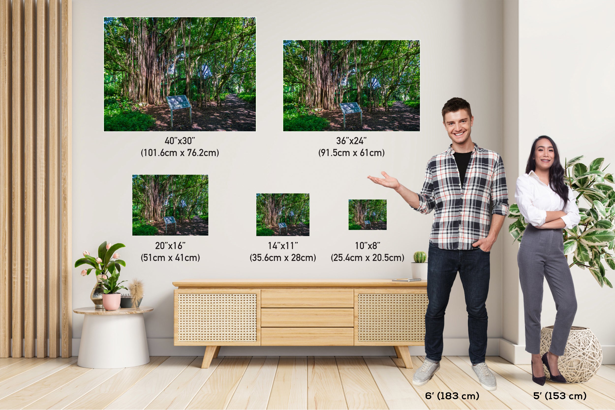 Maui Banyan Tree Print: Haleakala National Park.