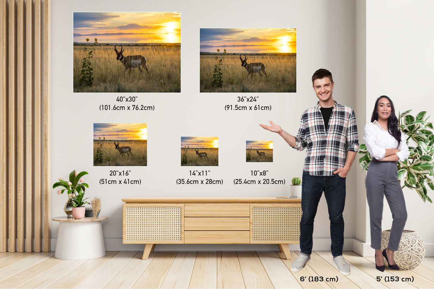 Sunset Haven: Antelope Island State Park Pronghorn Wildlife Canvas Print Sunset Photography Utah Home Decor