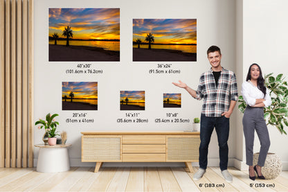 Lake Havasu Sunset: Arizona Palm Trees, Desert Landscape Photography Wall Arty