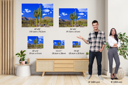 Crested Saguaro Cactus: Sabino Canyon Arizona Landscape Photography Wall Art
