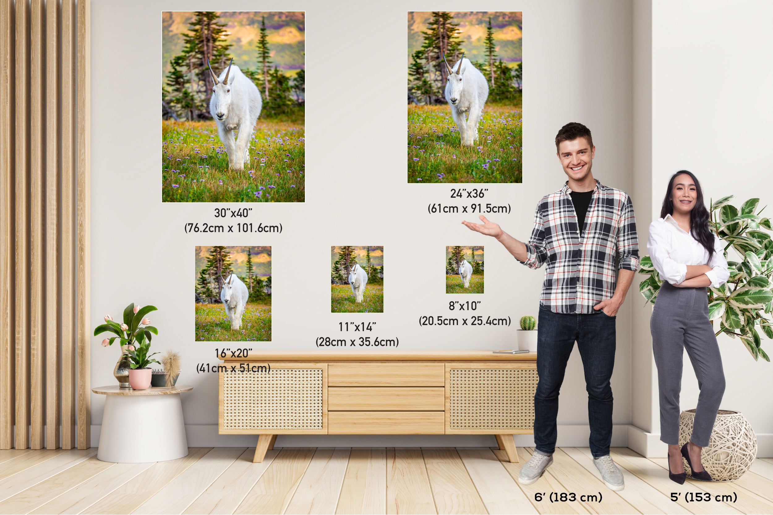 Alpine Majesty: Glacier Mountain Goat National Park Wildlife Photography Wall Art Home