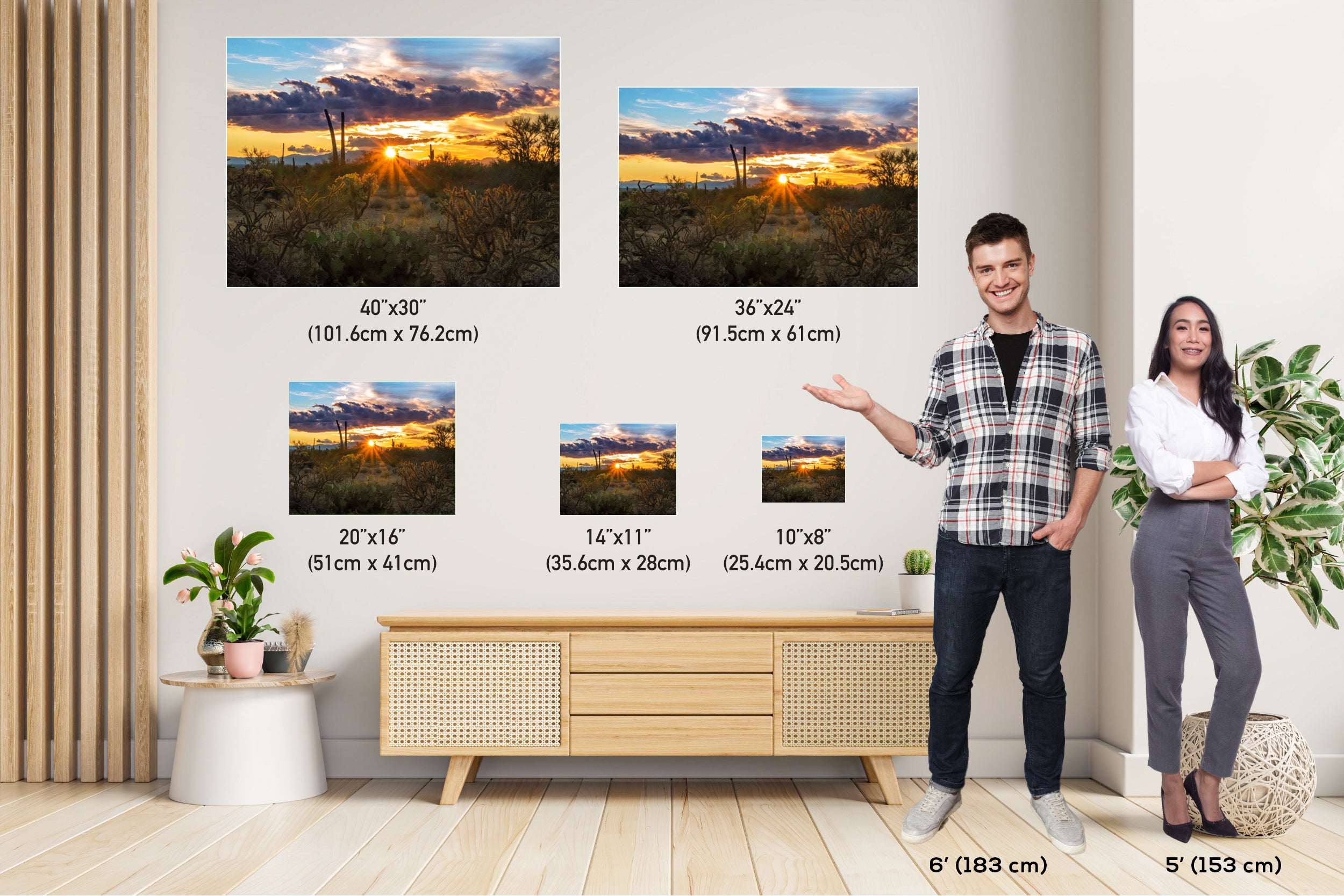 Sonoran Desert Sunset: Tucson Mountain Park Landscape Photography Wall Art