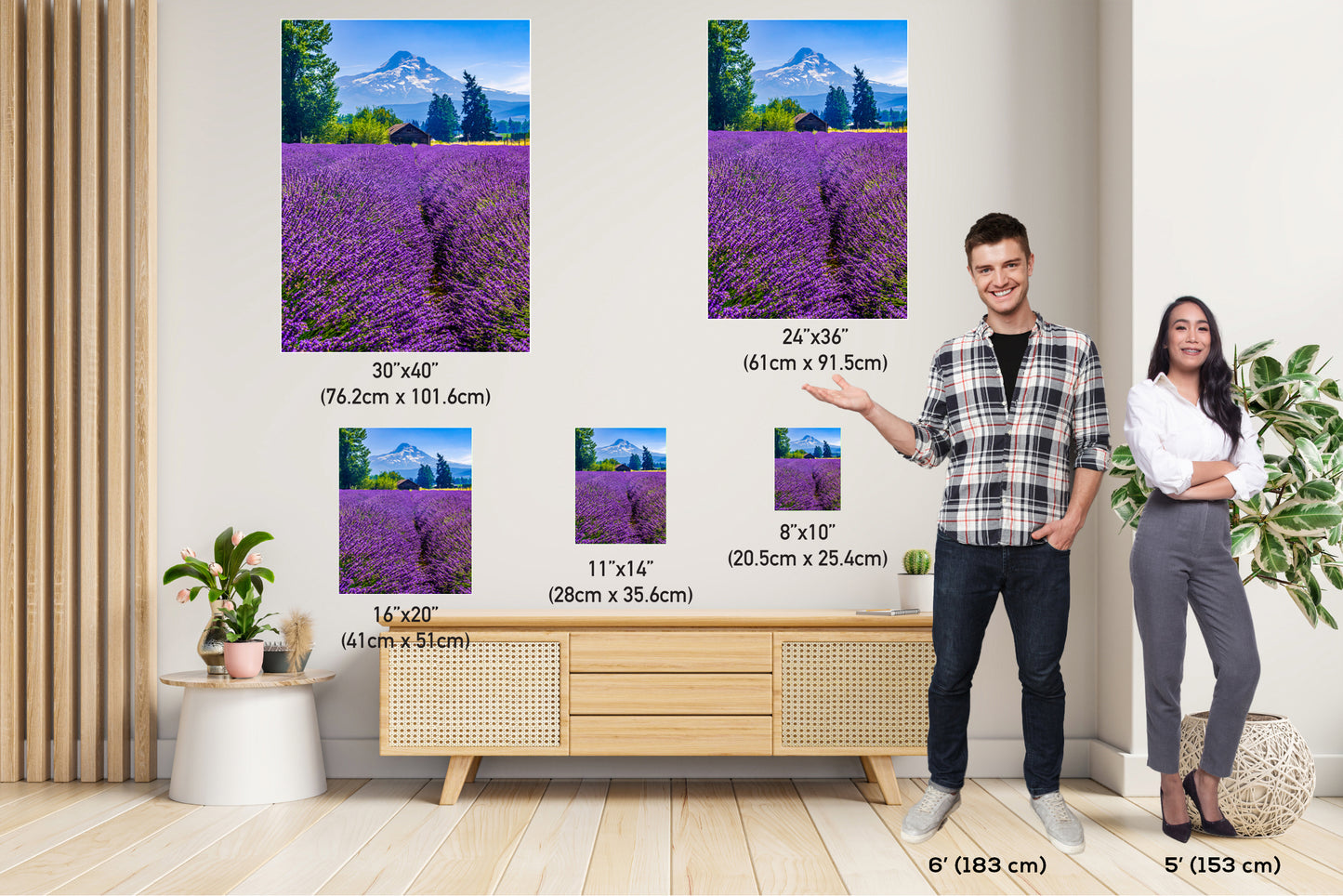 Mt Hood Lavender Field Print: Oregon Mountain Flower Photography