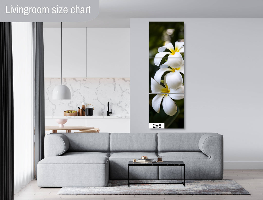 Island Elegance: Hawaiian White Plumeria Flower Photography Wall Art Nature Print