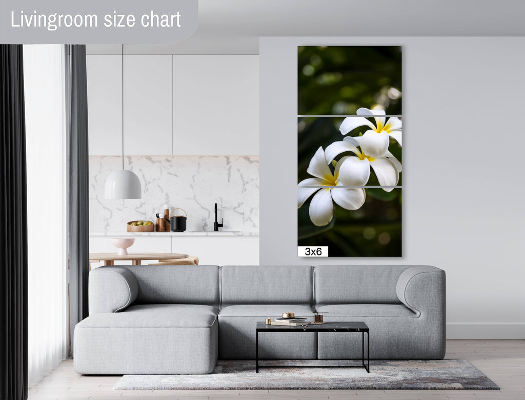 Island Elegance: Hawaiian White Plumeria Flower Photography Wall Art Nature Print
