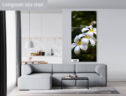Island Elegance: Hawaiian White Plumeria Flower Photography Wall Art Nature Canvas Print
