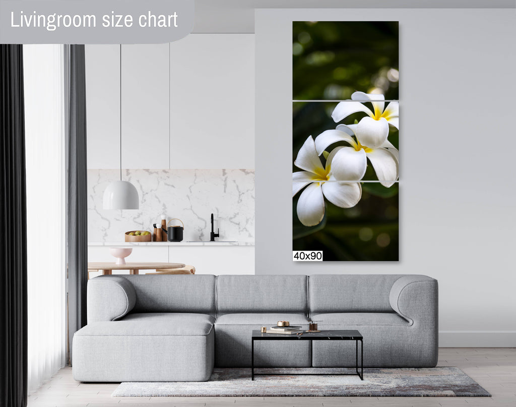 Island Elegance: Hawaiian White Plumeria Flower Photography Wall Art Nature Print