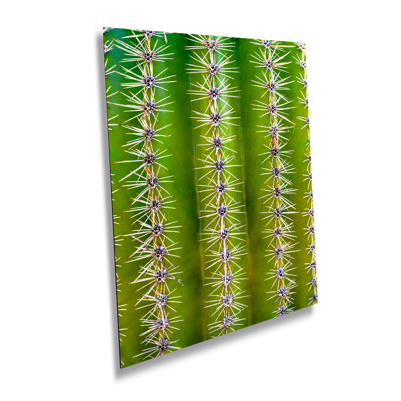 Saguaro Cactus Close-Up Sonoran Desert Photography Wall Art
