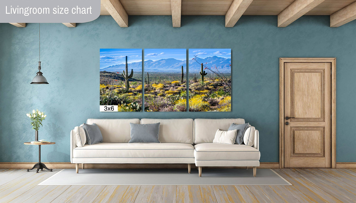 Nature's Contrast: Yellow Desert Cactus Saguaro National Park Wall Art Photography