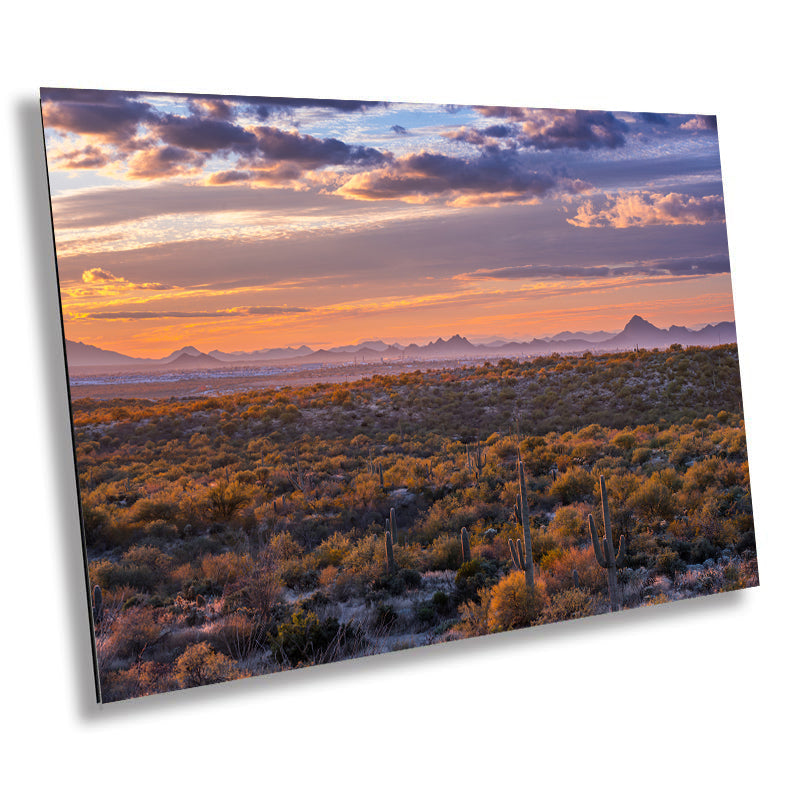 Sonoran Sunset Cactus: Saguaro National Park Landscape Wall Art