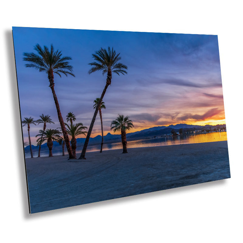 Lake Havasu Palm Tree Sunset: Arizona Landscape Photography Wall Art