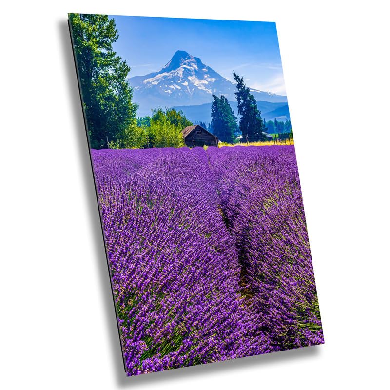 Mt Hood Lavender Field Print: Oregon Mountain Flower Photography