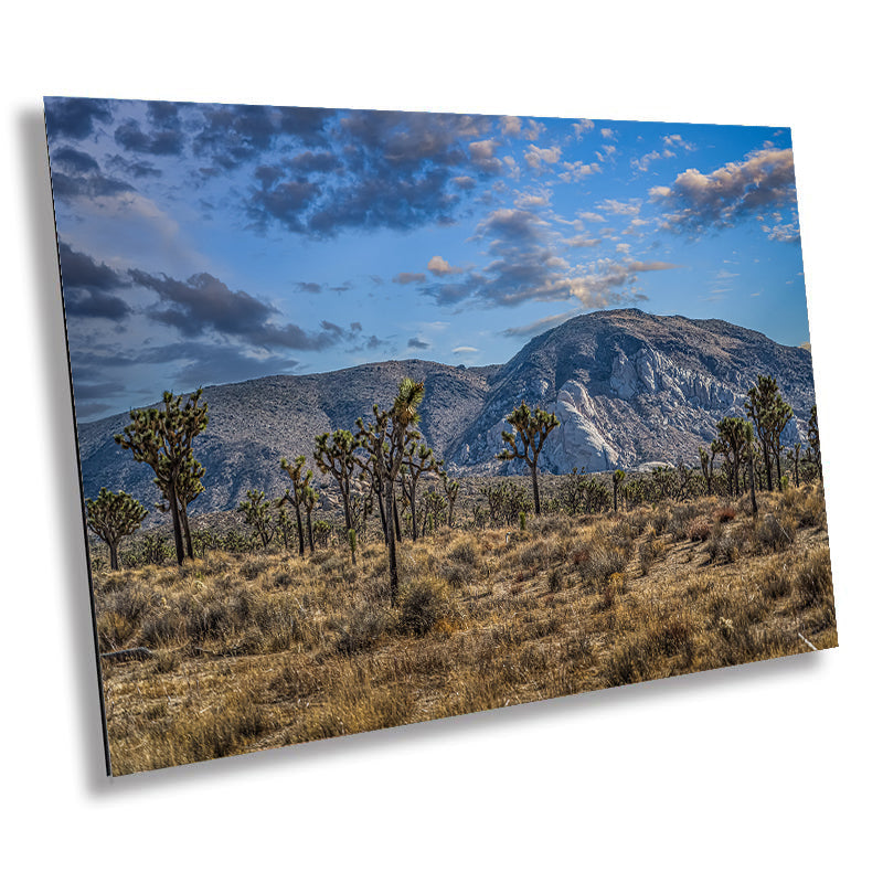 Joshua Tree National Park Print: Giant Rock California Desert Landscape