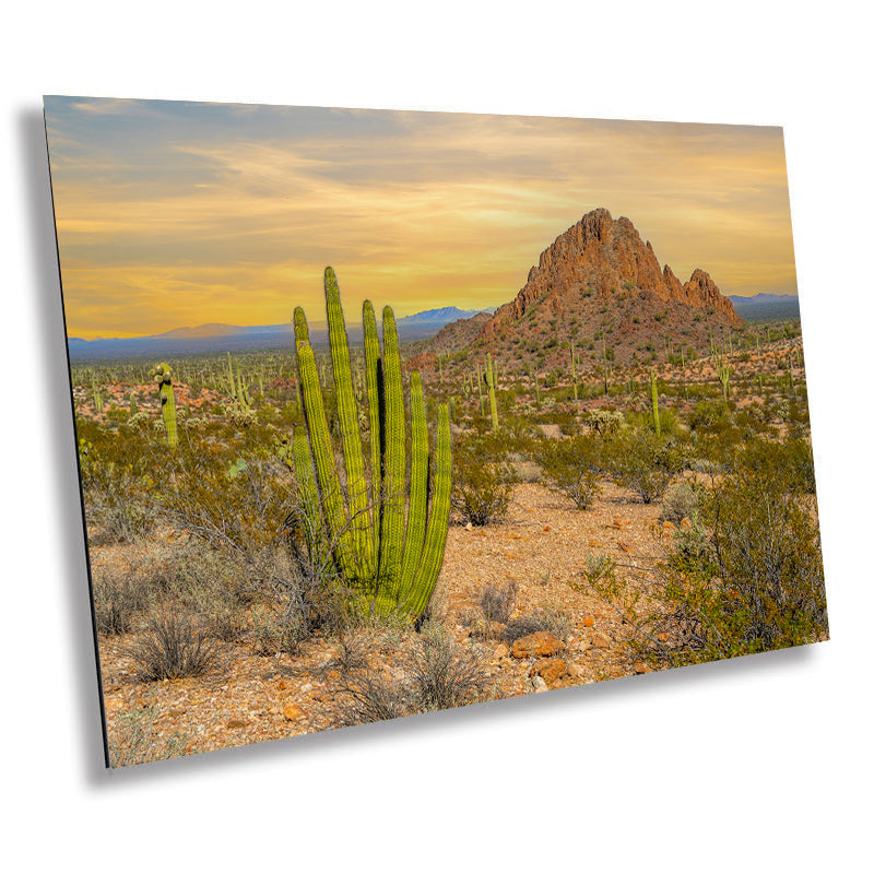 Spires of Resilience: Organ Pipe Cactus National Monument Arizona Photography Wall Art