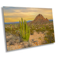 Spires of Resilience: Organ Pipe Cactus National Monument Arizona Photography Wall Art