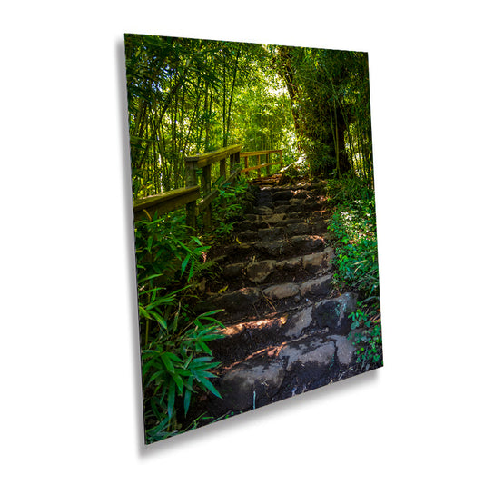 Steps to Enchantment: Pipiwai Trail Stairs Haleakala Maui Hawaii Photography Nature Canvas Print Wall Art