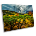 Stormy Glow: Arizona American Southwest Nature Landscape Photography Wall Art