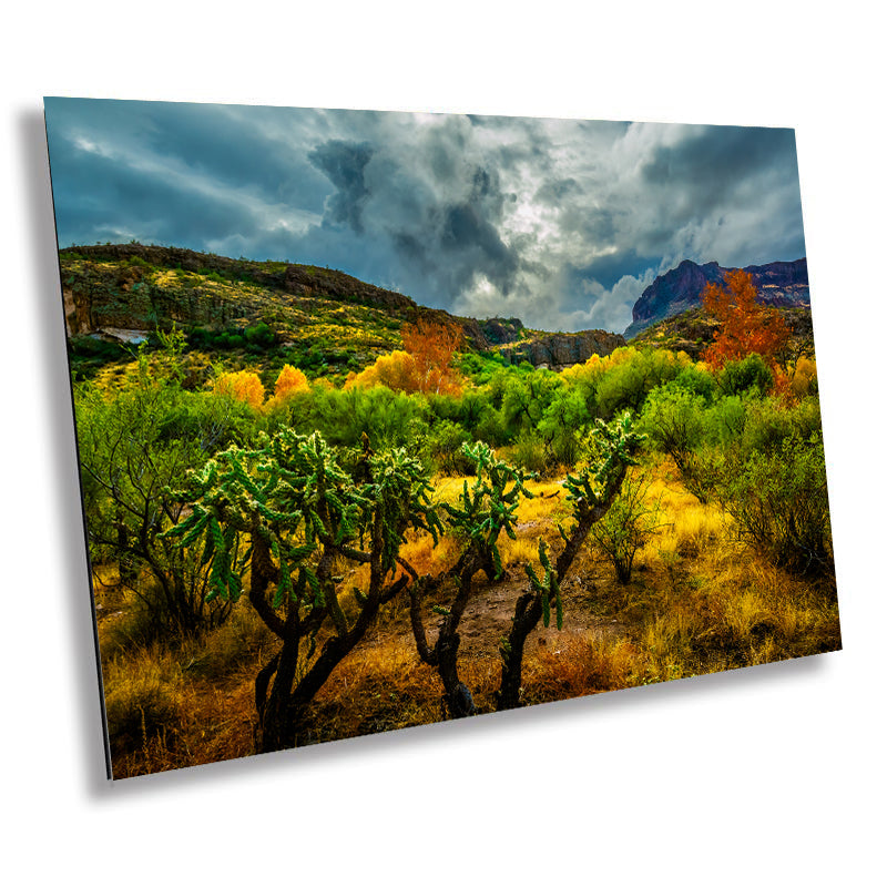 Stormy Glow: Arizona American Southwest Landscape Photography Nature Wall Art Nature Canvas Print