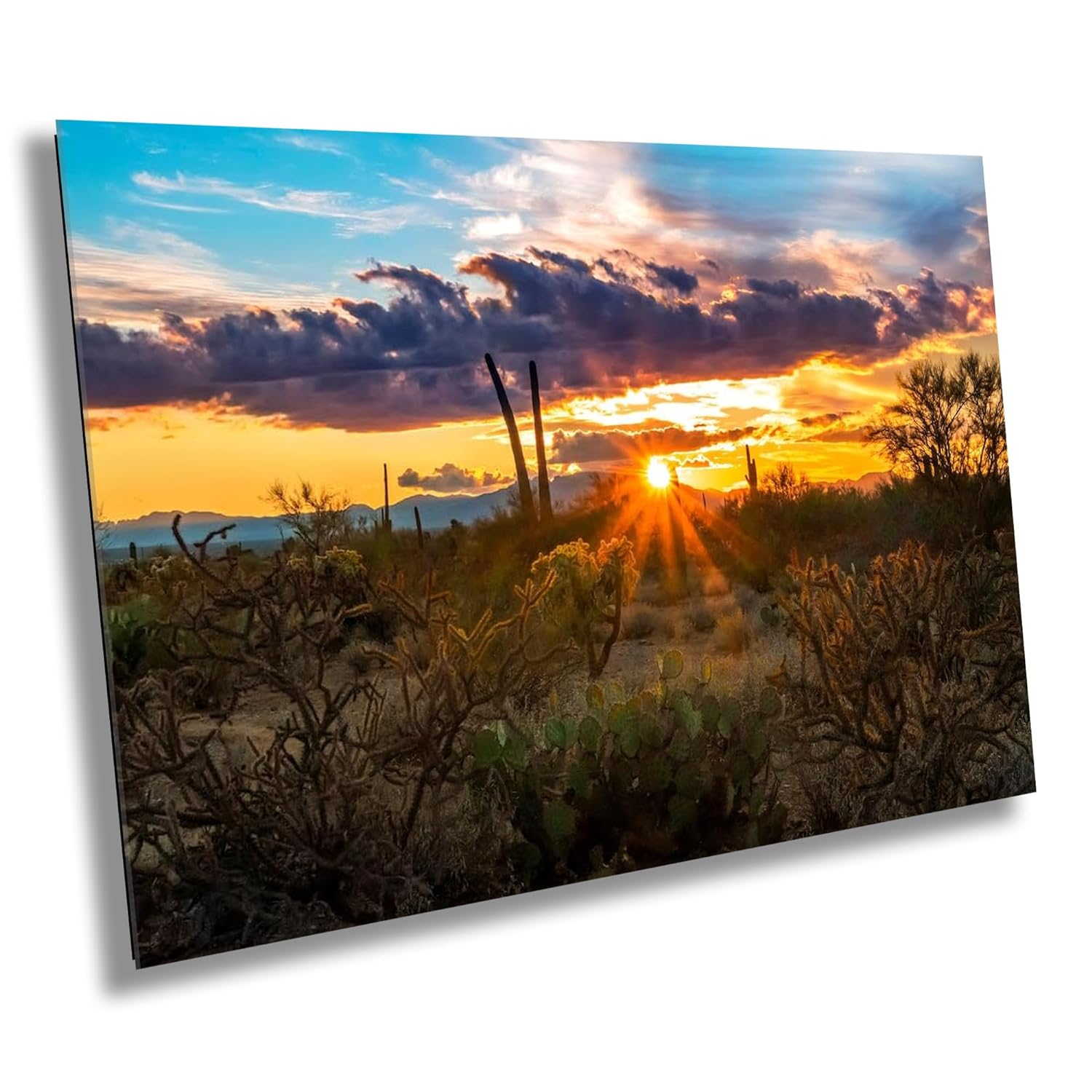 Sonoran Desert Sunset: Tucson Mountain Park Landscape Photography Wall Art