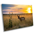 Sunset Haven: Antelope Island State Park Pronghorn Wildlife Canvas Print Sunset Photography Utah Home Decor