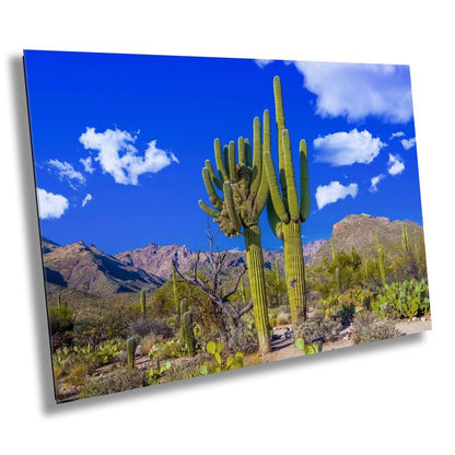Crested Saguaro Cactus: Sabino Canyon Arizona Landscape Photography Wall Art