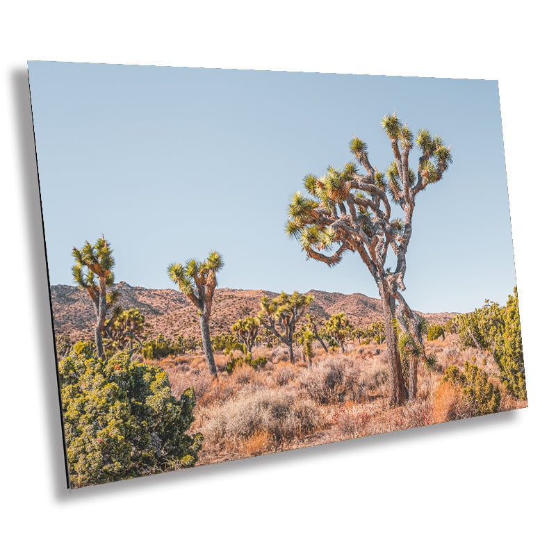 Joshua Tree Wall Art – California Desert Landscape Canvas Print | Ready to Hang