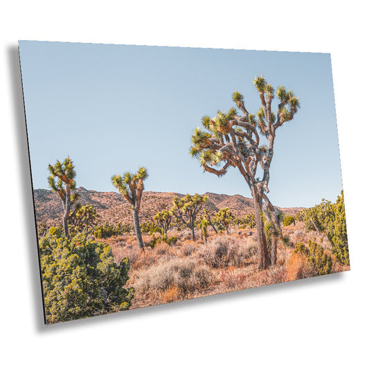 Joshua Tree Wall Art – California Desert Landscape Canvas Print | Ready to Hang