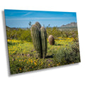 Saguaro Cactus Arizona Desert Landscape Photography Wall Art