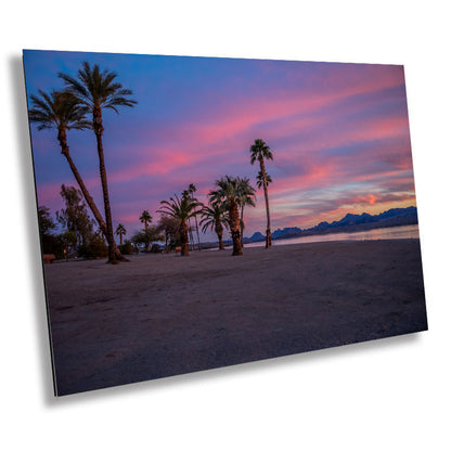 Lake Havasu Palm Tree Sunset: Arizona Beachfront Photography Wall Art
