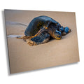 Turtle Serenity: Maui Hawaii Sea Photography Wall Art Ocean Wildlife Print