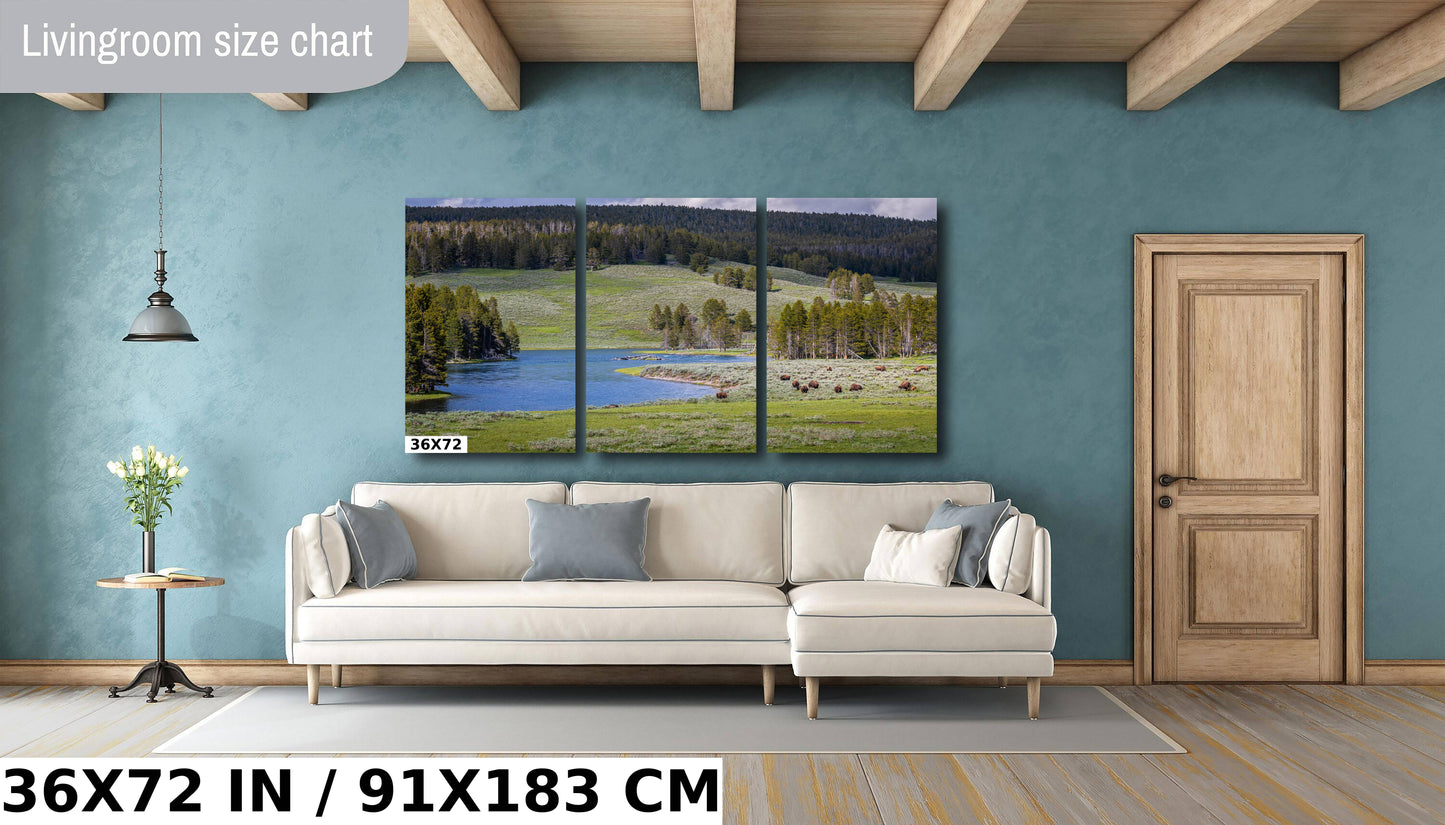 Yellowstone Bison Photography Print: Hayden Valley Wildlife