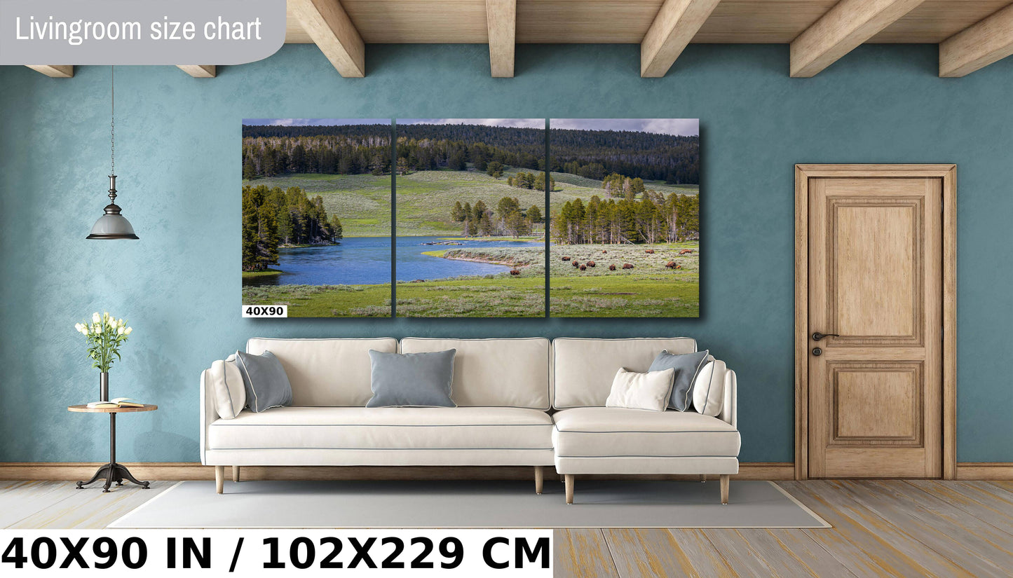 Yellowstone Bison Photography Print: Hayden Valley Wildlife