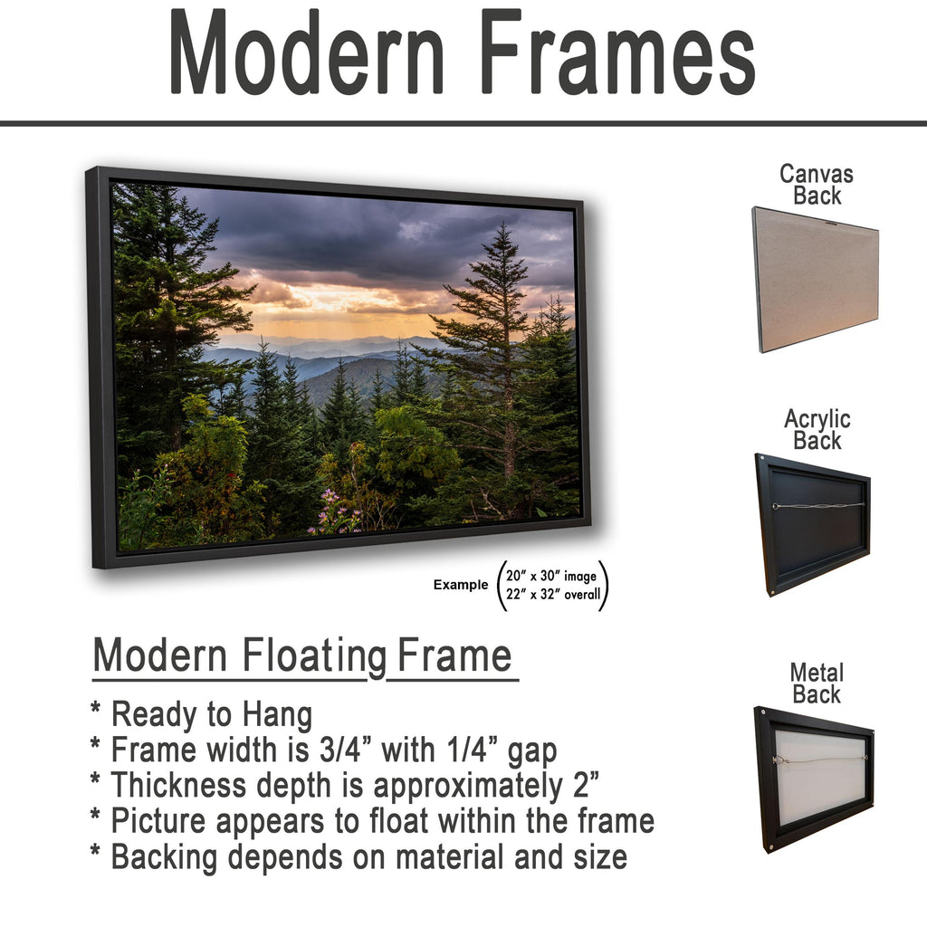 Between the Pines: Scenic View Great Smoky Mountains TN Photo Wall Art