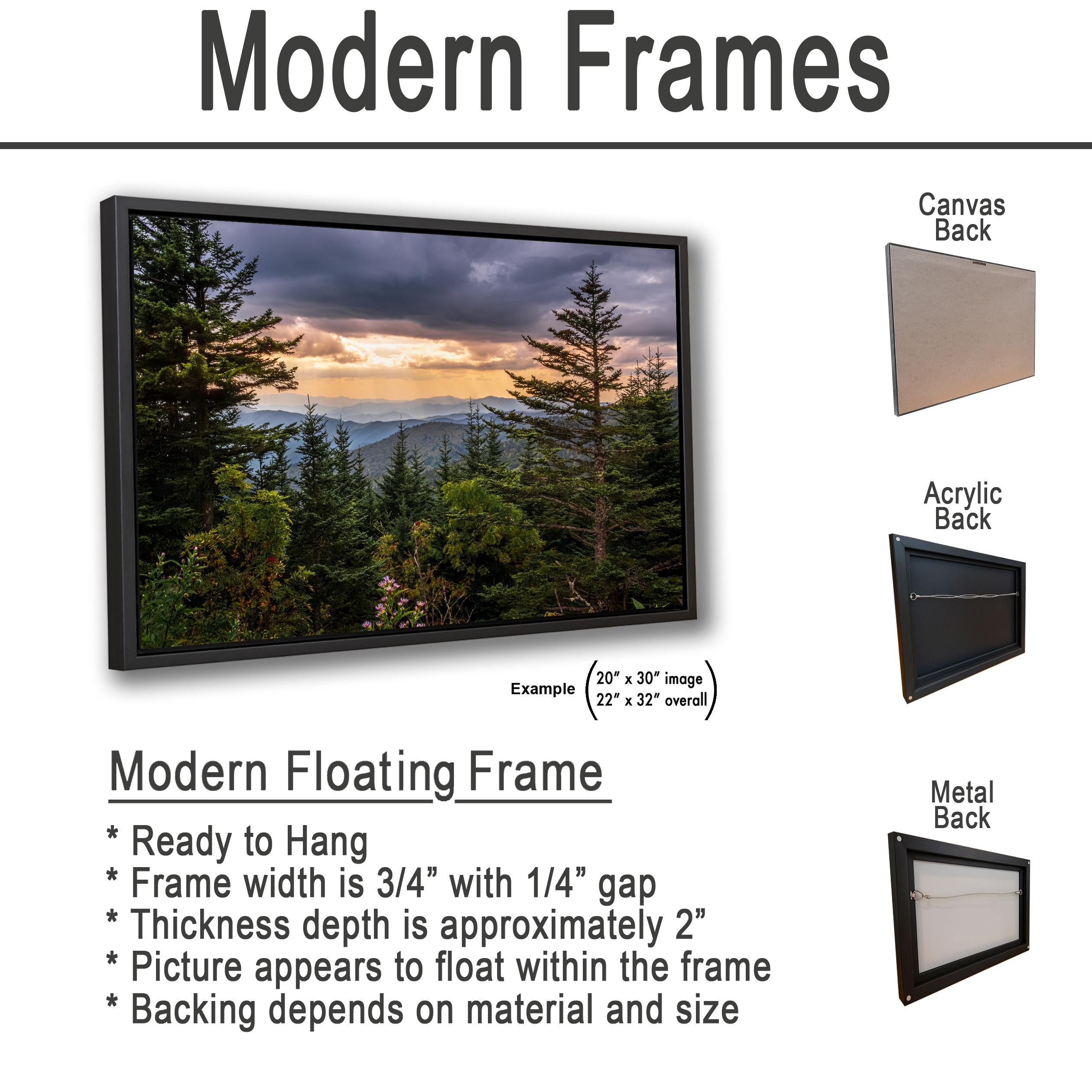 Between the Pines: Scenic View Great Smoky Mountains TN Photo Wall Art