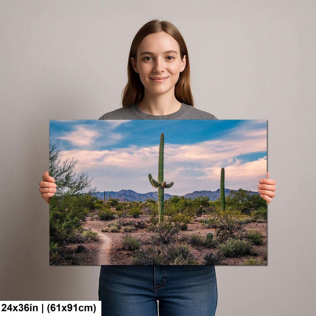 Pastel Sky Over Saguaro Cactus Trail Photography Print, Tucson Arizona Desert Landscape, Southwest Wall Art Decor