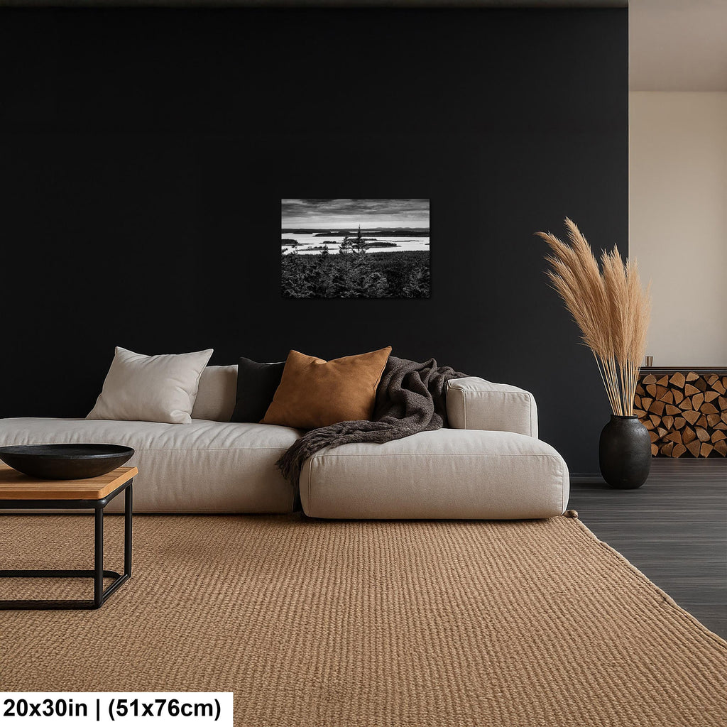 Beyond the Pines: Acadia National Park Maine Islands Black White Wall Art