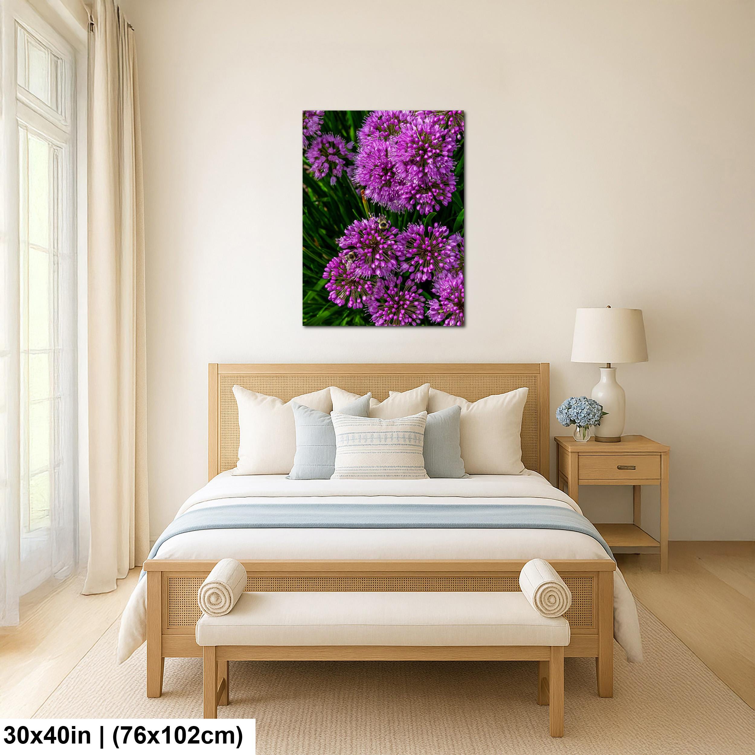 Purple Allium Blooms: Botanical Macro Flower Garden Photography Wall Art