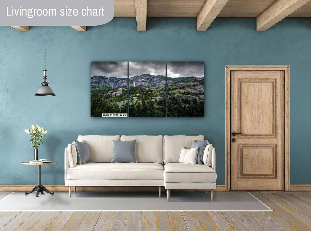 Ouray Colorado Forest Print: San Juan Mountains Landscape Photography