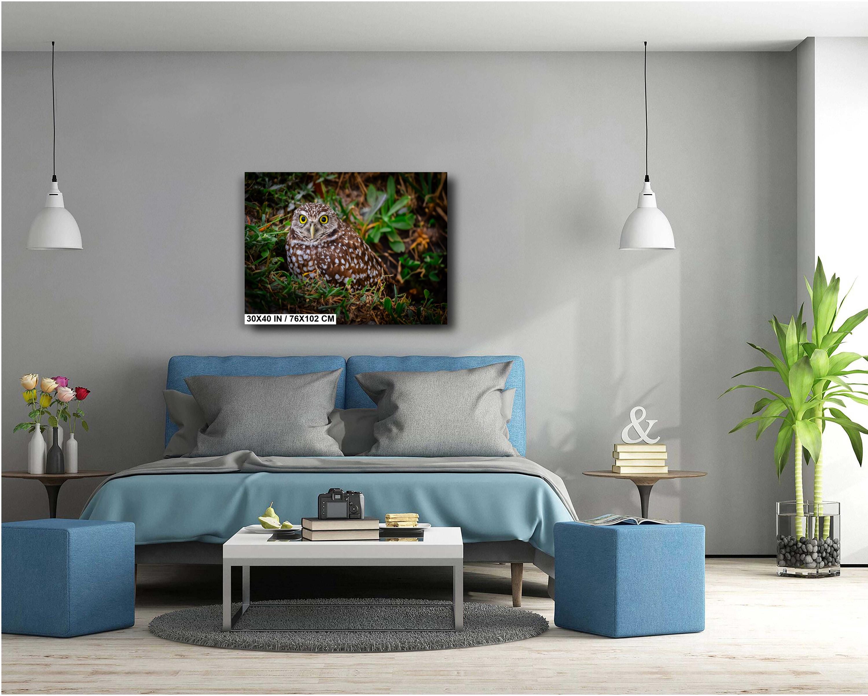 Burrowing Owl with Bright Eyes – The Watchful Guardian of Cape Coral The Americas Print Wall Art Photography Aluminum/Acrylic/Metal/Canvas