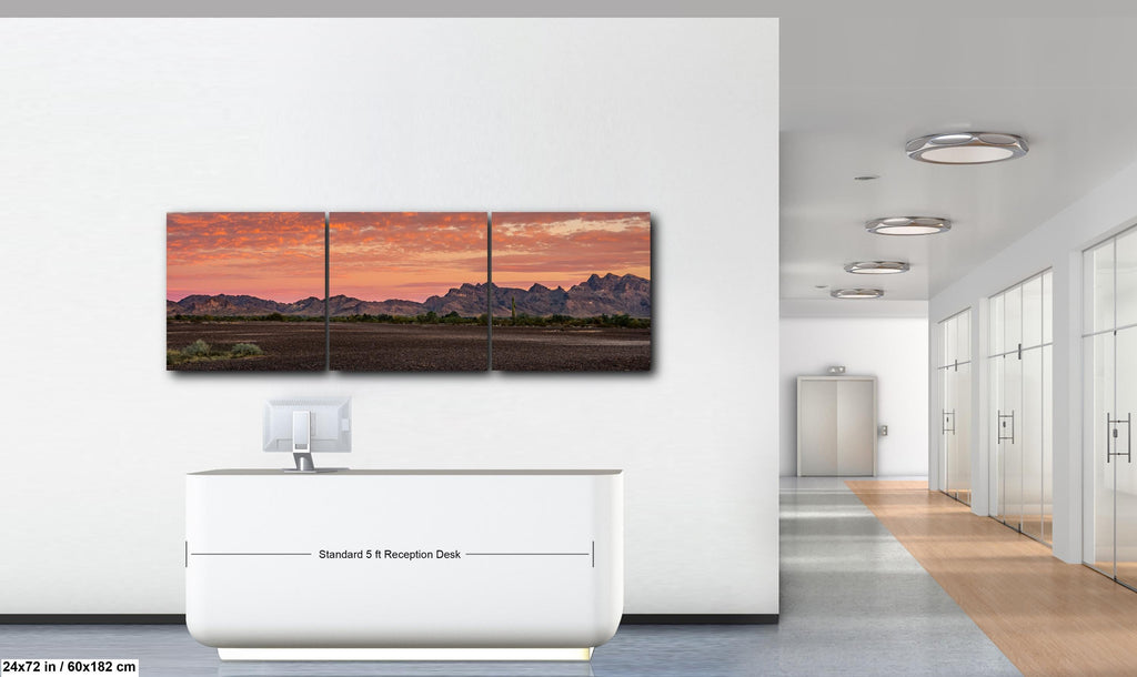 Fiery Sonoran Desert Sunset with Saguaro, Quartzsite Arizona Photography Print