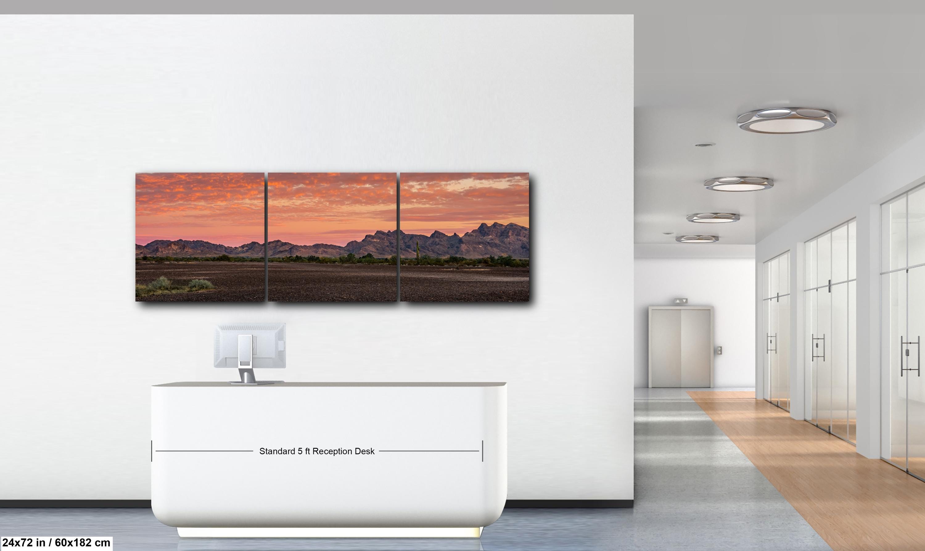 Fiery Sonoran Desert Sunset with Saguaro, Quartzsite Arizona Photography Print
