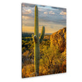 Golden Hour Saguaro Cactus, Sonoran Desert Arizona Sunset Wall Art, Southwestern Landscape Photography Print