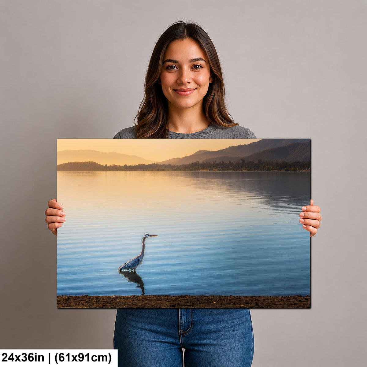Lakeside Heron: Lake Elsinore California Wildlife Photography Wall Art