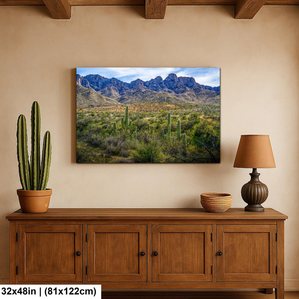 Catalina State Park Saguaros with Rocky Mountain Peaks - Tucson Arizona Sonoran Desert Photography Print
