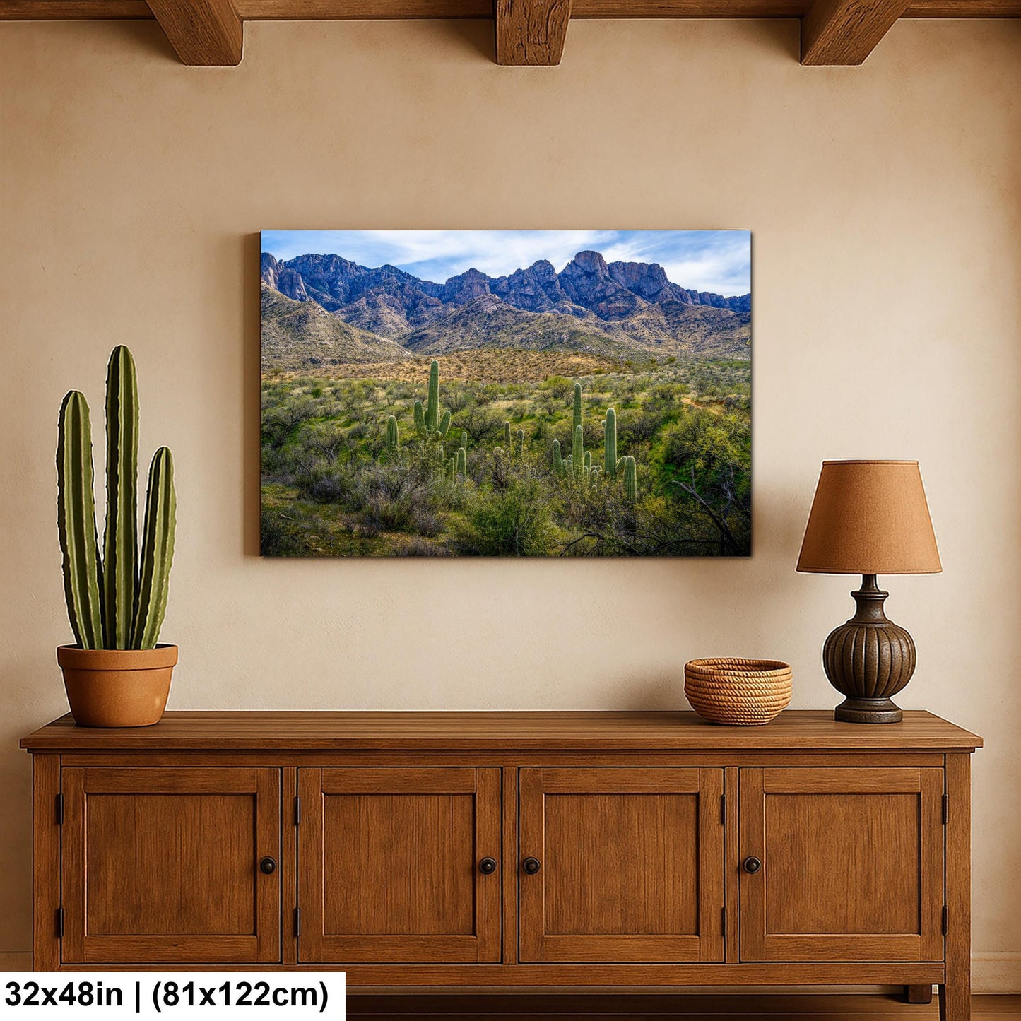 Catalina State Park Saguaros with Rocky Mountain Peaks - Tucson Arizona Sonoran Desert Photography Print