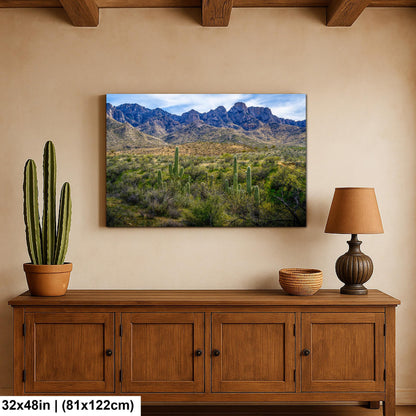 Catalina State Park Saguaros with Rocky Mountain Peaks - Tucson Arizona Sonoran Desert Photography Print