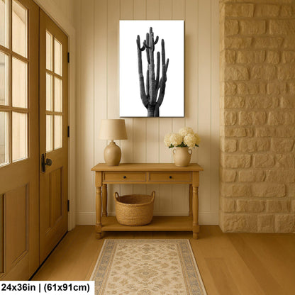 Towering Cactus Catalina State Park Arizona Black White Desert Wall Art